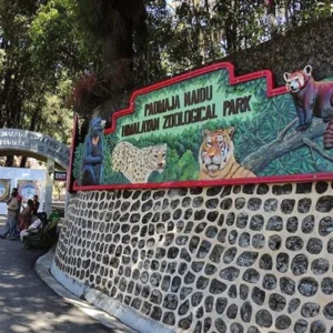 Padmaja Naidu Himalayan Zoological Park