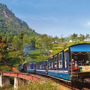 Darjeeling Toy Train