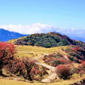 Singalila National Park