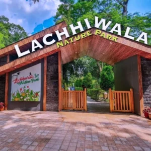 Lacchiwala