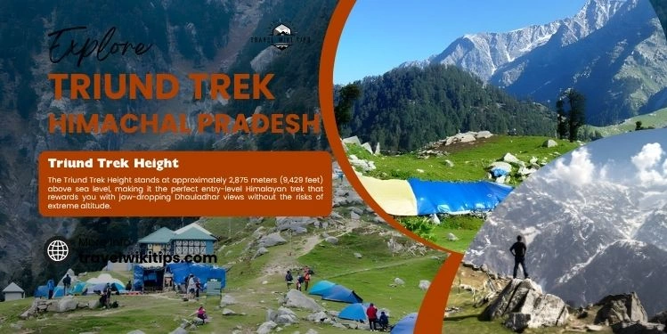 Triund Trek Height: Everything You Need to Know Before Your First Himalayan Adventure Triund Trek Height