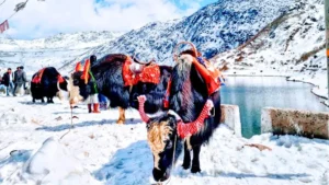 Nathula Height in Feet