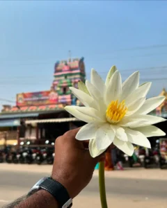 Sri Subramanyeswara Swamy Temple - Mopidevi