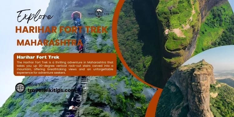 Harihar Fort Trek: A Complete Journey to Maharashtra’s Iconic Rock-Cut Stairs Harihar Fort Trek