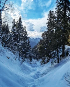 Jalori Pass Trek Distance