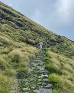 Nainital to Munsiyari Distance