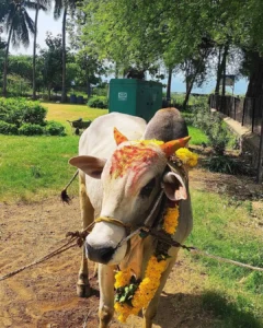 Gudimallam Shiva Temple
